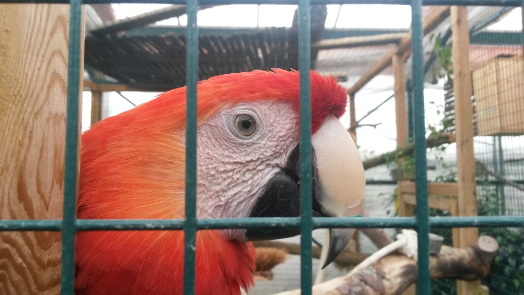 Image Map mit mouse-sensitiven und touch-sensitiven Bereichen